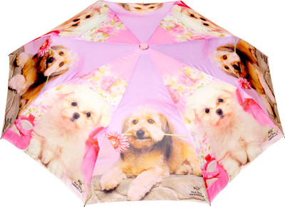

FabSeasons Fancy Printed Umbrella for Rains and All Seasons Umbrella(Pink, Purple)