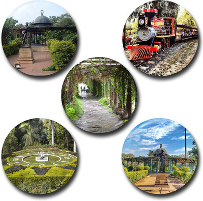 

Capturing Happiness For Sale Badge