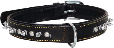 

Petshop7 Export Quality Genuine Leather Dog Collar with Spiked 1.25 "in"  Black Dog Everyday Collar(, Black
