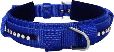Petshop7 Export Quality & Stylish, Stud Blue Nylon with Blue Velvet Padding Dog Collar - 1.50 Inch -  Size - Neck Size ( 22- 25 inch) Dog Everyday Collar(, Blue
