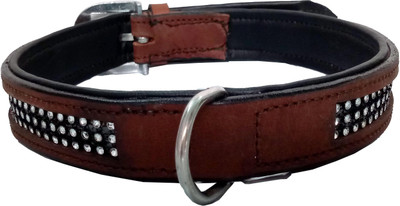 

Petshop7 Export Quality Genuine Leather Dog Collar with Diamonds 1.25"in"  Brown Dog Everyday Collar(, Brown