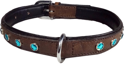 

Petshop7 Export Quality Genuine Leather Dog Collar with Big Diamonds 1"in"  Brown Dog Everyday Collar(, Brown