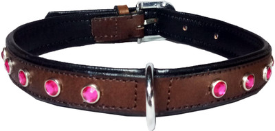 

Petshop7 Export Quality Genuine Leather Dog Collar with Big Diamonds 1"in"  Brown Dog Everyday Collar(, Brown