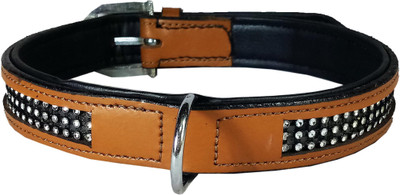 

Petshop7 Export Quality Genuine Leather Dog Collar with Diamonds 1.25"in"  Beige Dog Everyday Collar(, Beige