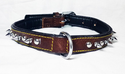 

Petshop7 Export Quality Genuine Leather Dog Collar with Spiked 1 "in"  Brown Dog Everyday Collar(, Brown