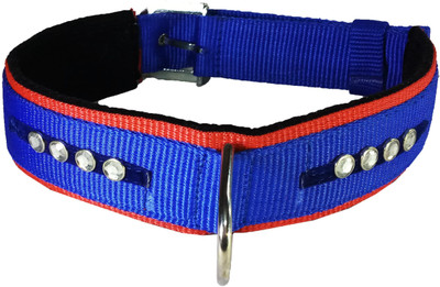 Petshop7 Export Quality & Stylish, Nylon Blue Nug with Black Velvet Padding Dog Collar - 2 Inch - Xtra Size - Neck Size (25.5- 30 inch) Dog Everyday Collar(, Blue