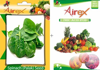 Airex Spinach (Palak) Winter Vegetables Seeds + Humic Acid Fertilizer (For Growth of All Plant and Better Responce) 15 gm Humic Acid + 20 Seeds Per Packet Seed(20 per packet)