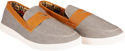 

FAUSTO Trendy Canvas Shoes For Men(Grey