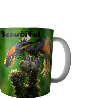 

RD Creations Specially Designed Ceramic Coffee Can be Used in Your Daily Life or You can use to Gift Someone AUG2017MIX29 Ceramic Mug(300 ml), Multicolor