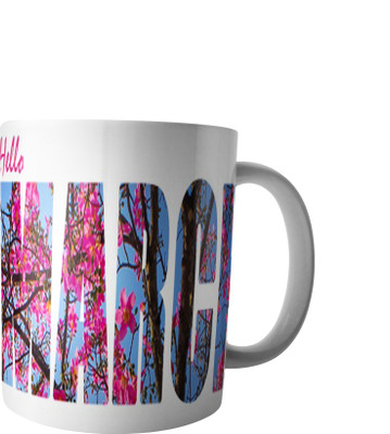 

RD Creations Specially Designed Ceramic Coffee Can be Used in Your Daily Life or You can use to Gift Someone AUG2017MIX301 Ceramic Mug(300 ml), Multicolor