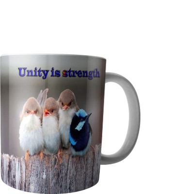 

RD Creations Specially Designed Ceramic Coffee Can be Used in Your Daily Life or You can use to Gift Someone AUG2017MIX497 Ceramic Mug(300 ml), Multicolor