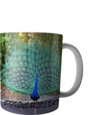 

RD Creations Specially Designed Ceramic Coffee Can be Used in Your Daily Life or You can use to Gift Someone AUG2017MIX10 Ceramic Mug(300 ml), Multicolor