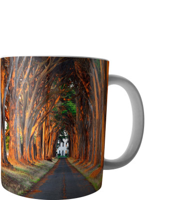 

RD Creations Specially Designed Ceramic Coffee Can be Used in Your Daily Life or You can use to Gift Someone AUG2017MIX144 Ceramic Mug(300 ml), Multicolor