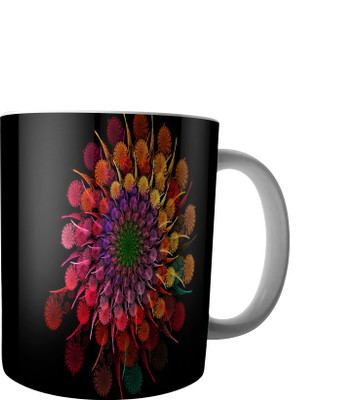 

RD Creations Specially Designed Ceramic Coffee Can be Used in Your Daily Life or You can use to Gift Someone AUG2017MIX387 Ceramic Mug(300 ml), Multicolor