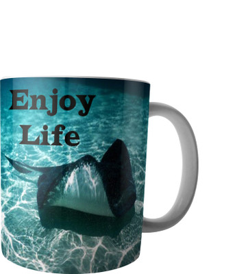 

RD Creations Specially Designed Ceramic Coffee Can be Used in Your Daily Life or You can use to Gift Someone AUG2017MIX480 Ceramic Mug(300 ml), Multicolor