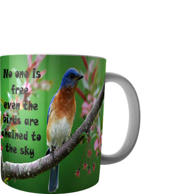 

RD Creations Specially Designed Ceramic Coffee Can be Used in Your Daily Life or You can use to Gift Someone AUG2017MIX27 Ceramic Mug(300 ml), Multicolor