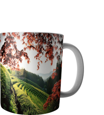 

RD Creations Specially Designed Ceramic Coffee Can be Used in Your Daily Life or You can use to Gift Someone AUG2017MIX102 Ceramic Mug(300 ml), Multicolor
