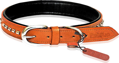 

Petsup neck collar leather belt for labrador and puppy collars belts with tag name Dog Everyday Collar(, Tan
