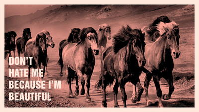 evening time horses running poster Fine Art Print(18 inch X 12 inch, Rolled)