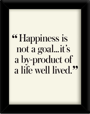 

Happiness is not a goal Paper Print(30 inch X 21 inch, Framed)