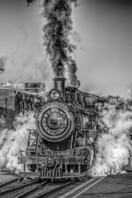 

poster of steam train Fine Art Print(18 inch X 12 inch, Rolled)