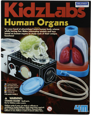 

4M KIDZ LABS -HUMAN ORGANS(Multicolor)
