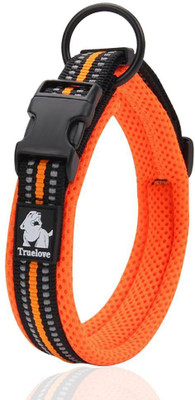 

PetsUp Dog Everyday Collar(, Orange