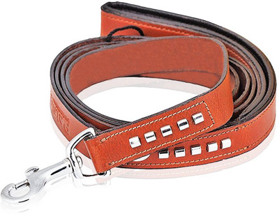

Petsup dog belt leash for labrador and small dogs 183 cm Dog Martingale Leash(Brown)