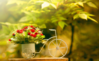 

FLOWER POT POSTER HD Wallpaper Background Fine Art Paper DECORATION ON 24X36 Photographic Paper(36 inch X 24 inch, Rolled)