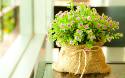 

FLOWER POT POSTER HD Wallpaper Background Fine Art Paper DECORATION ON 24X36 Photographic Paper(36 inch X 24 inch, Rolled)