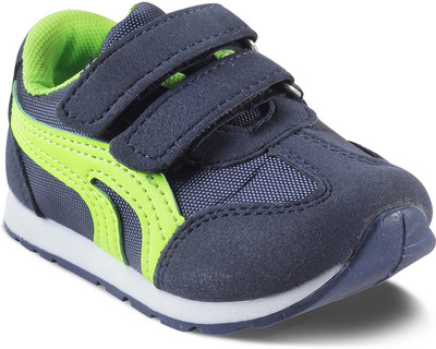 

KITTENS Boys Velcro Running Shoes(Blue, Navy