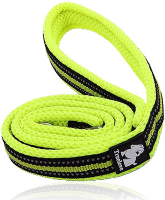 

PetsUp 3M Reflective 200 cm Dog Martingale Leash(Green)