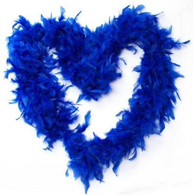 

Funcart Royal Blue Feather Boa
