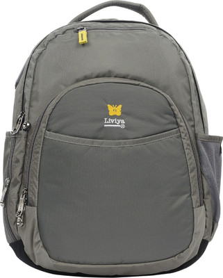 Liviya SB-1120 23 L Backpack(Grey)