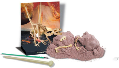 

4M Kidz Labs Velociraptor Skeleton(Multicolor)