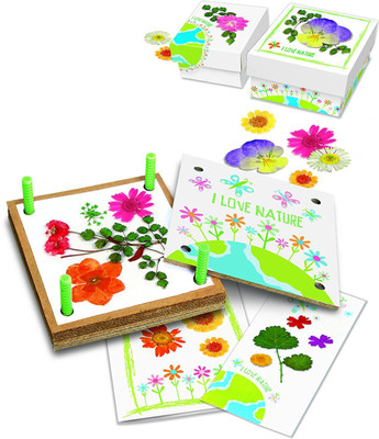 

4M GREEN CREATIVITY - PRESSED FLOWER ART(Multicolor)