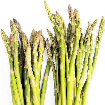 Futaba Asparagus Seed(100 per packet)