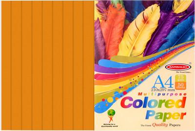 

Bambalio Colour Paper- Pack of 200 Sheets Smooth Finish 75 gsm/ A4 Size Orange Color -Photo Copy/Copier/Printing/ Art & Craft Coloured Paper(Set of 4, Orange)
