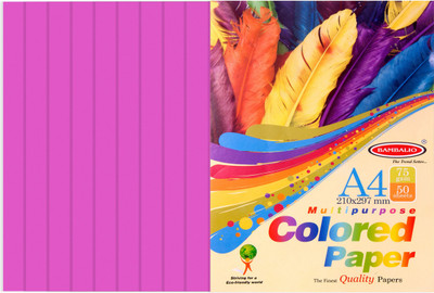

Bambalio colour Paper- Pack of 200 Sheets Smooth Finish 75 gsm/ A4 Size Pink Colour -Photo Copy/Copier/Printing/ Art & Craft Coloured Paper(Set of 4, Dark Pink)