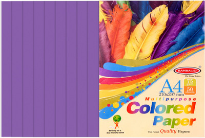 

Bambalio violet Paper- Pack of 200 Sheets 75 gsm/ A4 Size - Photo Copy/Copier/Printing/ Art & Craft Coloured Paper(Set of 4, Violet)