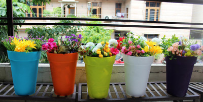

Wonderland 5 Plant Container Set(Plastic)