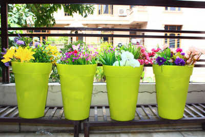 

Wonderland 38.8 cms tall PP/PVC High Grade Plastic Plant Container Set(Plastic)