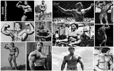 

Arnold Motivational and Inspirational Quotes Poster Paper Print(12 inch X 18 inch, Rolled)