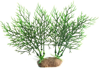 

SRI SRI-SC-682-G Aquarium Plant Anchor({Plant Anchors1)