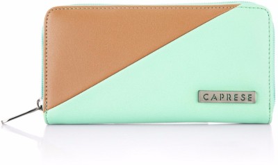 

Caprese Casual Green Clutch