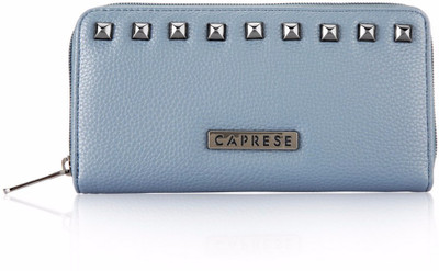 

Caprese Casual Grey Clutch