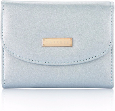 

Caprese Casual Blue Clutch