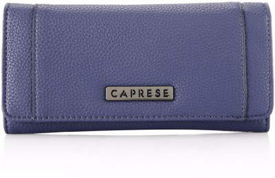 

Caprese Casual Blue Clutch