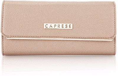 

Caprese Casual Brown Clutch