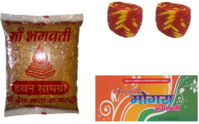 

Maa Bhagwati 31